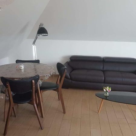 Orleans Appartement 2 Chambres Avec Parking Экстерьер фото